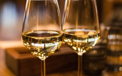 Tipos de vinos y su clasificacion